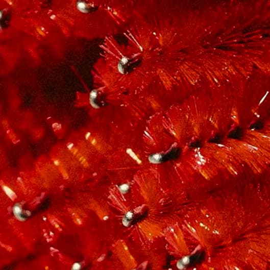 EXCLUSIVE BY PRETTY BLIINKS at Pretty Bliinks By D. Pollock in Dallas, TX